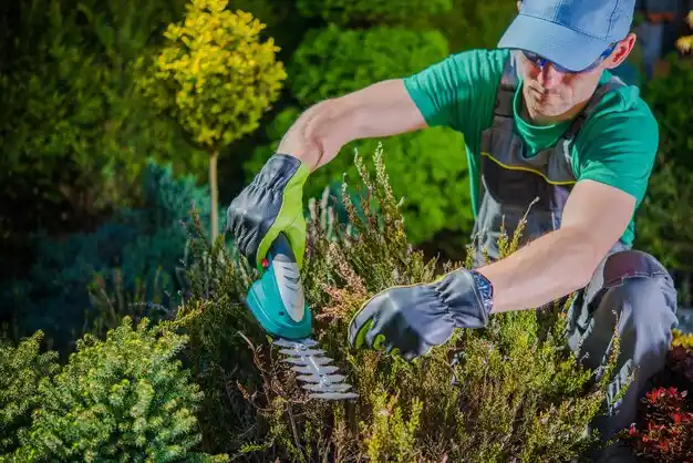 landscaping services Bridgeport
